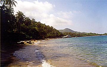 20051226170749-tairona.jpg