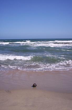 20060113023507-jironesc.jpg