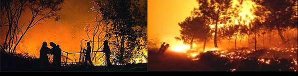 20070803164158-incendio-forestal.jpg