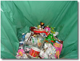 20070824084136-basura.jpg